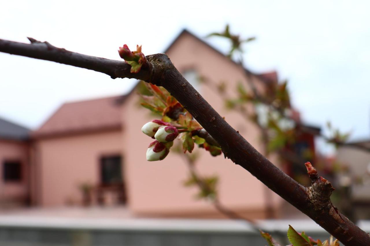 Agroturizam Opg Jakopovic Caglin Exterior foto